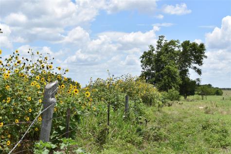 Tbd County Road 109 Buckholts TX 76518