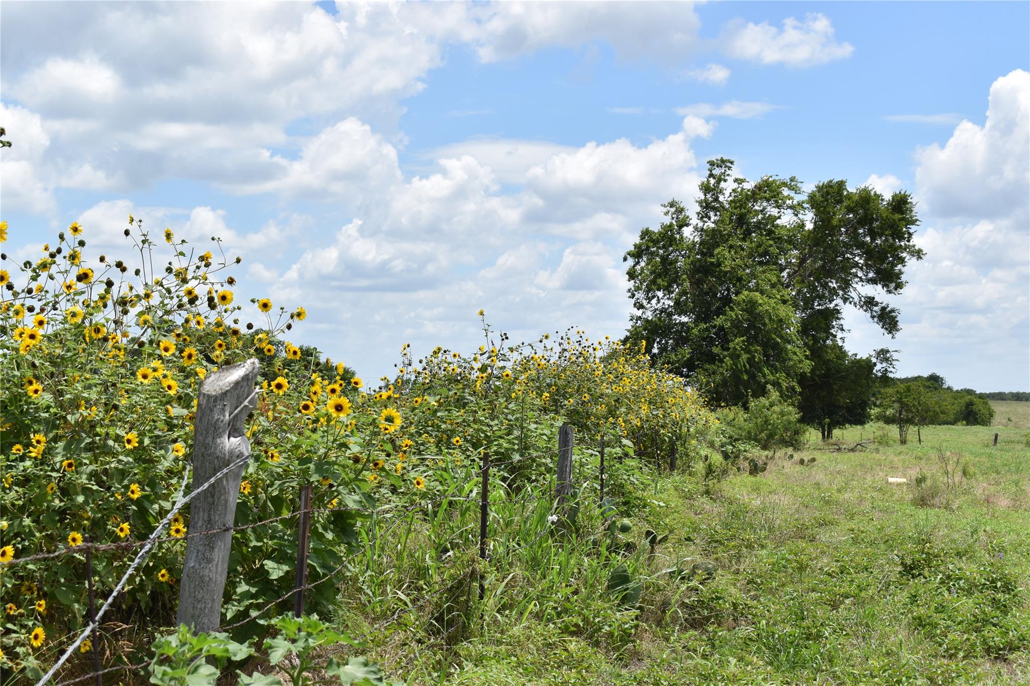 Tbd County Road 109 Buckholts TX 76518