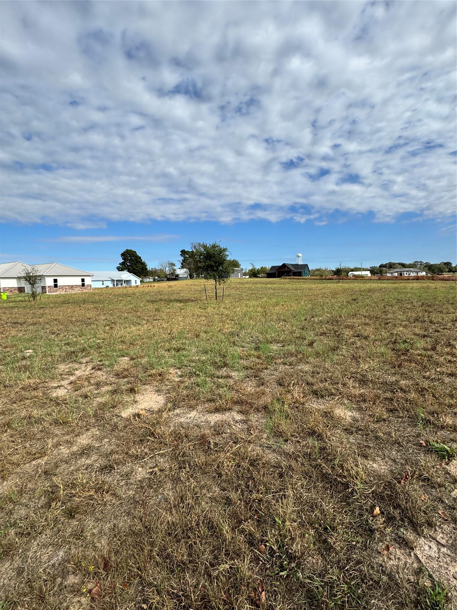 0 Richmond Street Mcdade TX 78650