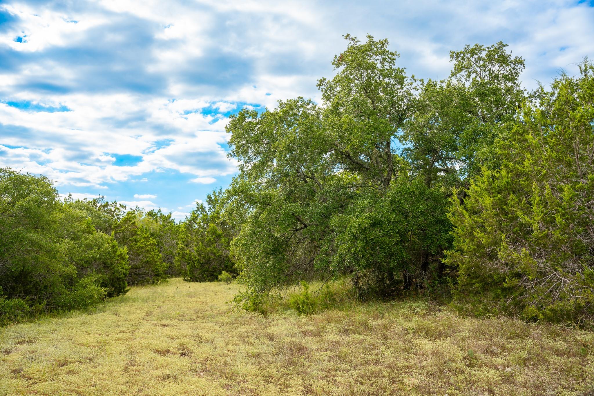31171 Ranch Road 12 Dripping Springs TX 78620
