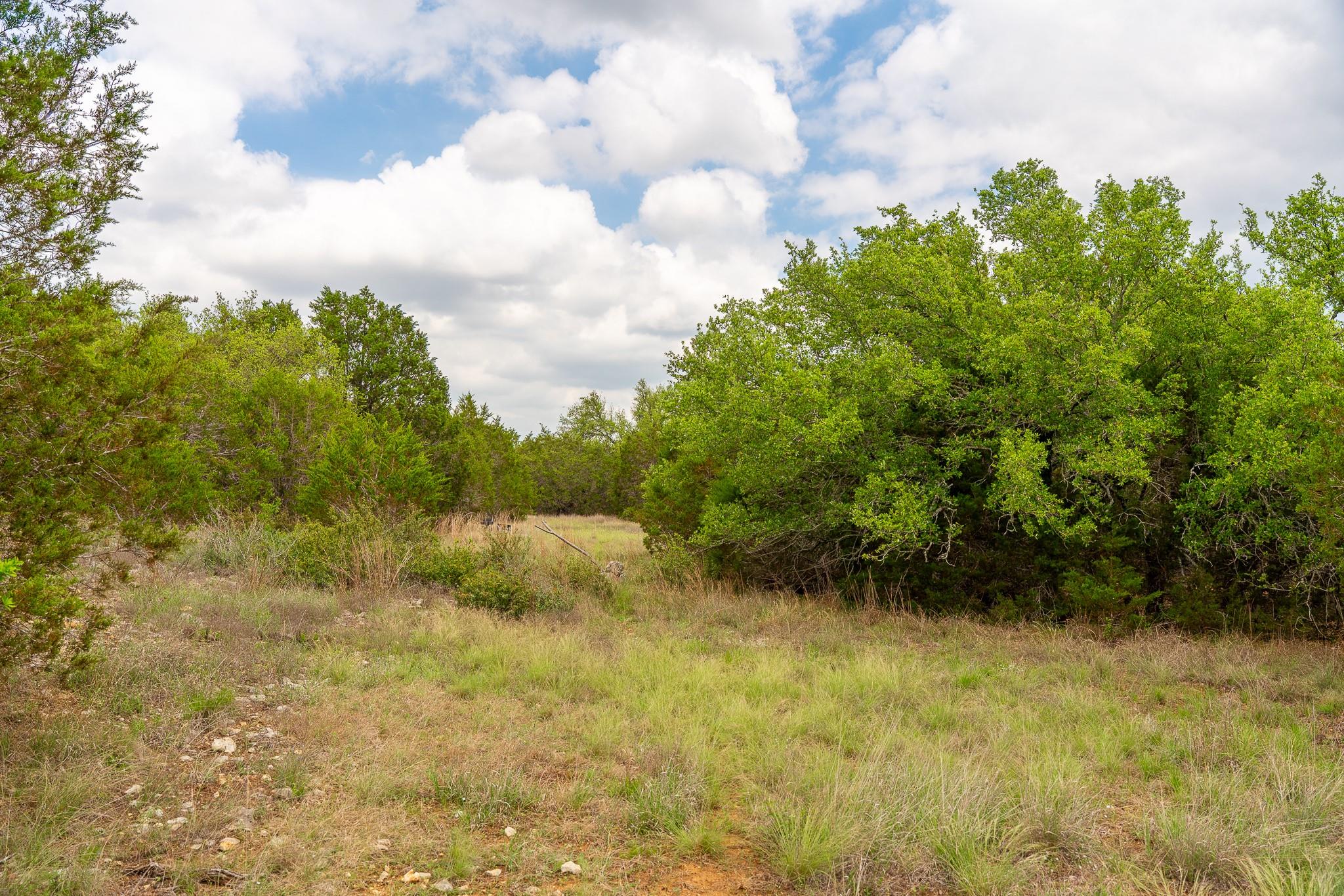 31171 Ranch Road 12 Dripping Springs TX 78620