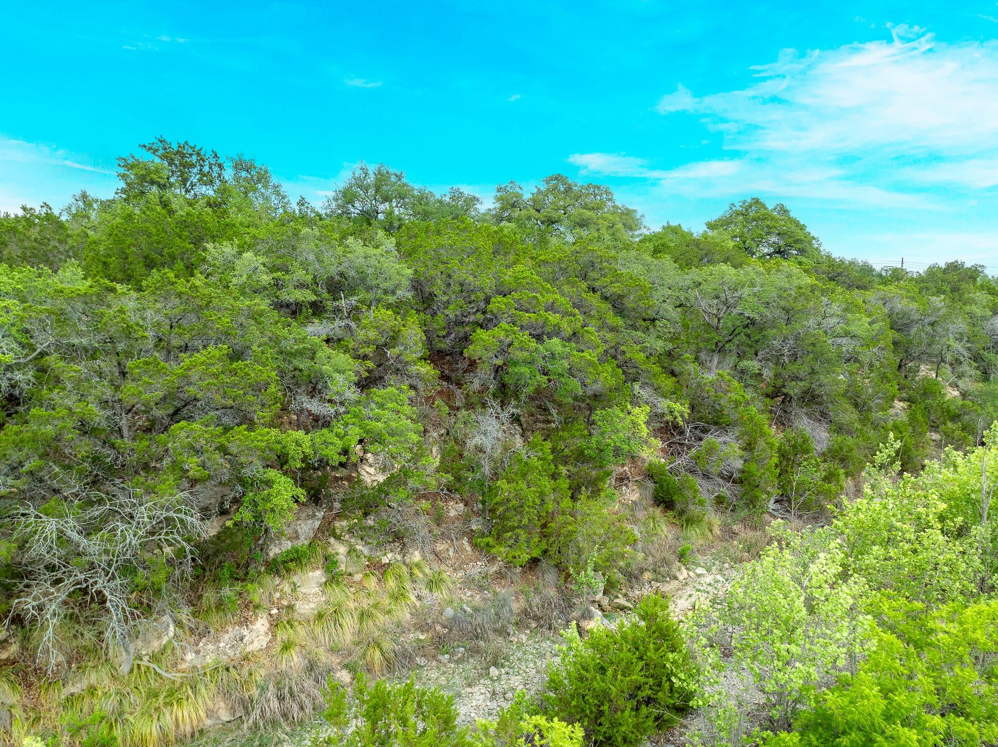 31171 Ranch Road 12 Dripping Springs TX 78620