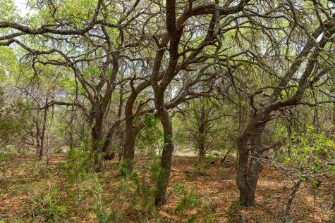 31171 Ranch Road 12 Dripping Springs TX 78620