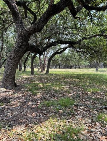 00 Old Red Ranch Road Dripping Springs TX 78620