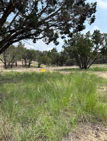 00 Old Red Ranch Road Dripping Springs TX 78620