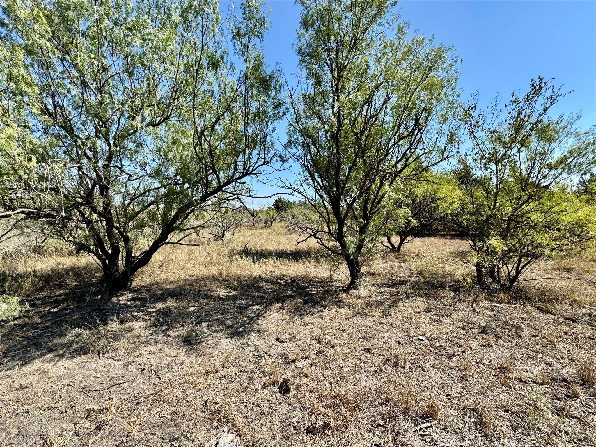 14312 Maha Road Austin TX 78719