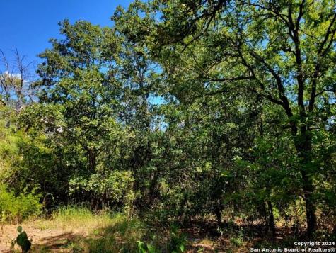 Tbd Dale Road Dale TX 78616