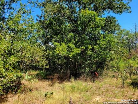 Tbd Dale Road Dale TX 78616