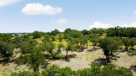 Lot 32 Prancing Deer Lane Johnson City TX 78636