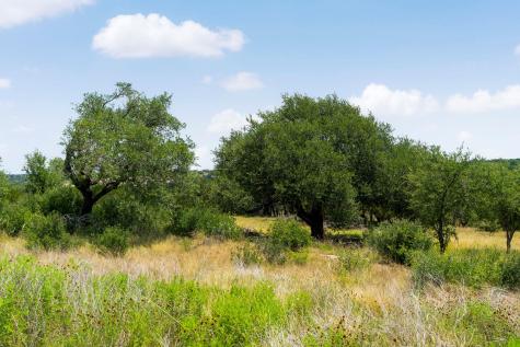Lot 32 Prancing Deer Lane Johnson City TX 78636
