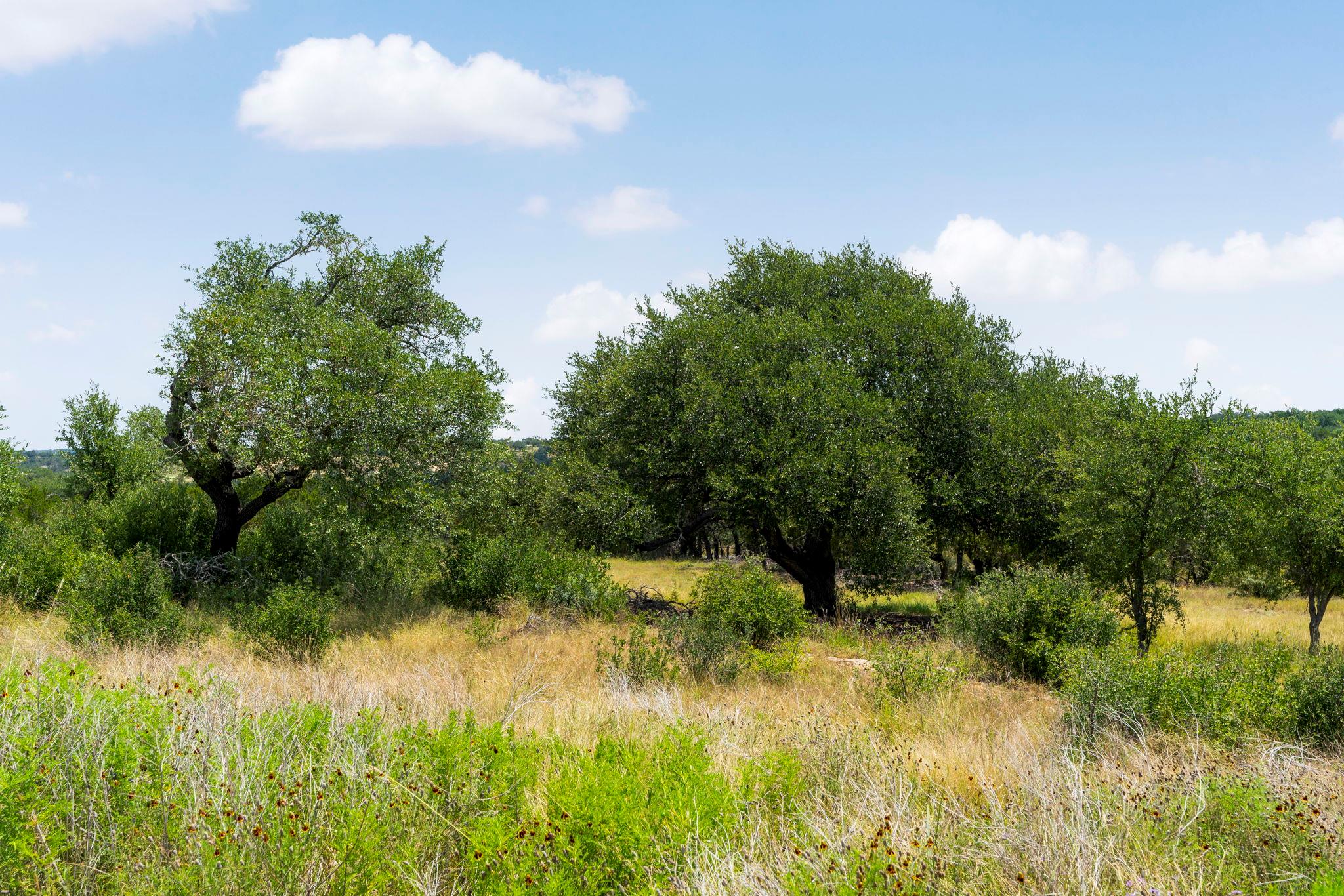 Lot 32 Prancing Deer Lane Johnson City TX 78636