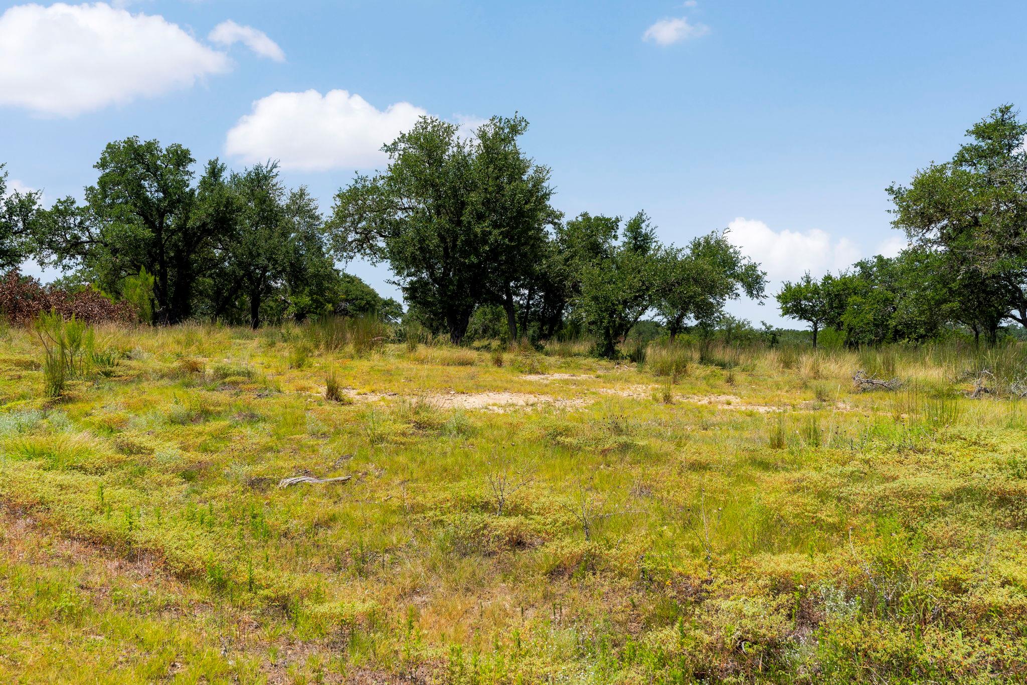 Lot 32 Prancing Deer Lane Johnson City TX 78636