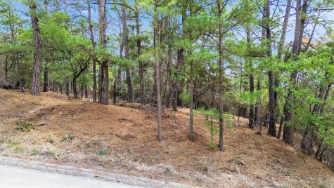 141 Kamaiki Drive Bastrop TX 78602
