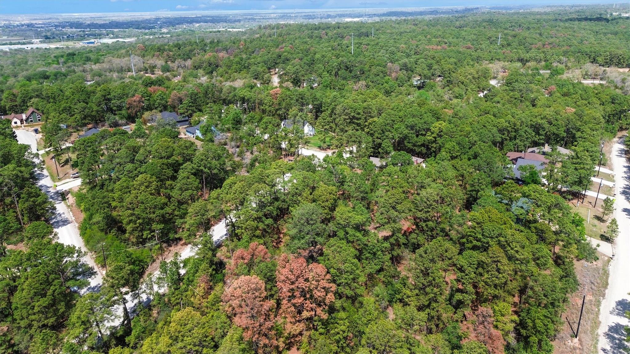 141 Kamaiki Drive Bastrop TX 78602