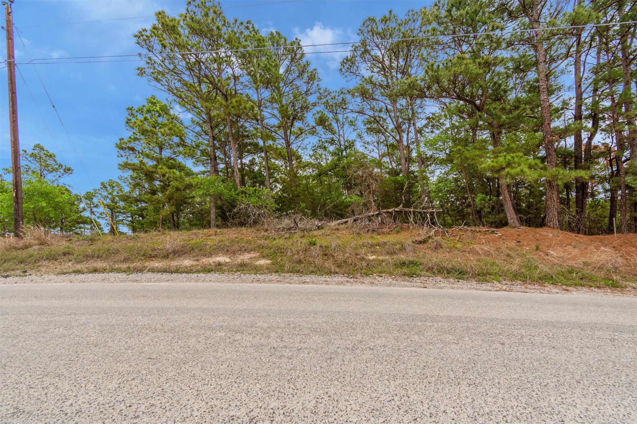 141 Kamaiki Drive Bastrop TX 78602