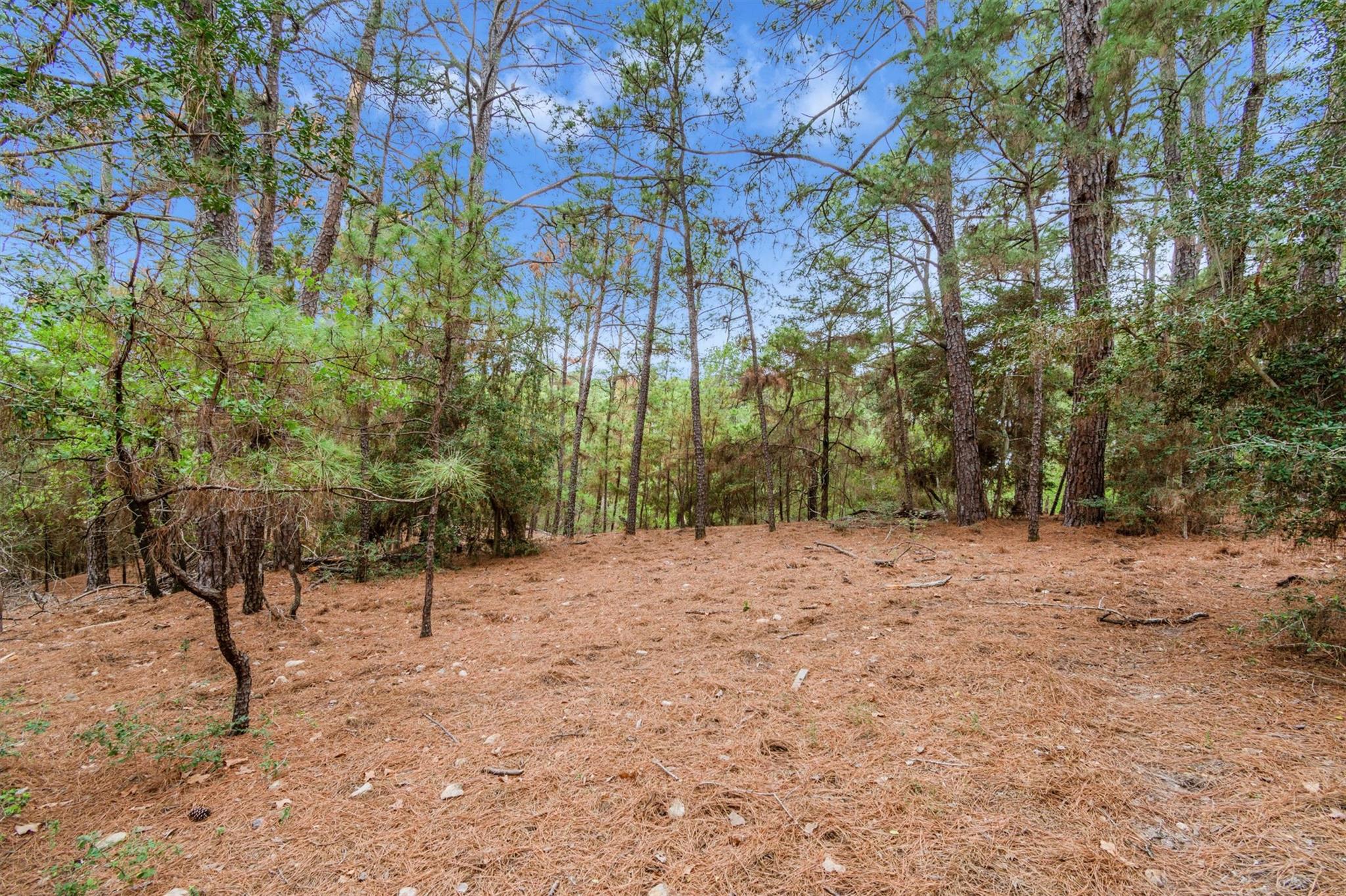 141 Kamaiki Drive Bastrop TX 78602