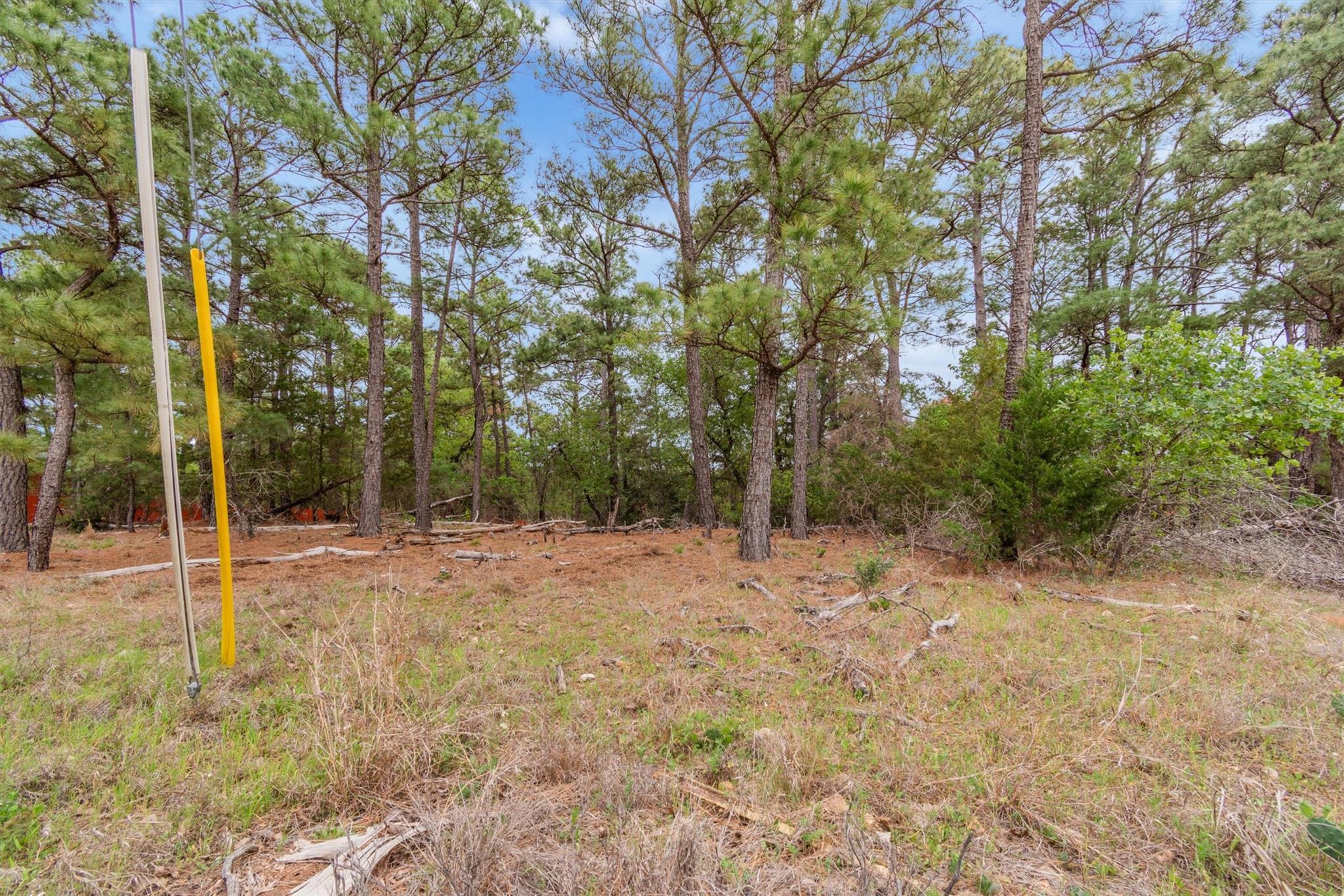 141 Kamaiki Drive Bastrop TX 78602