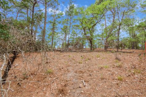 141 Kamaiki Drive Bastrop TX 78602