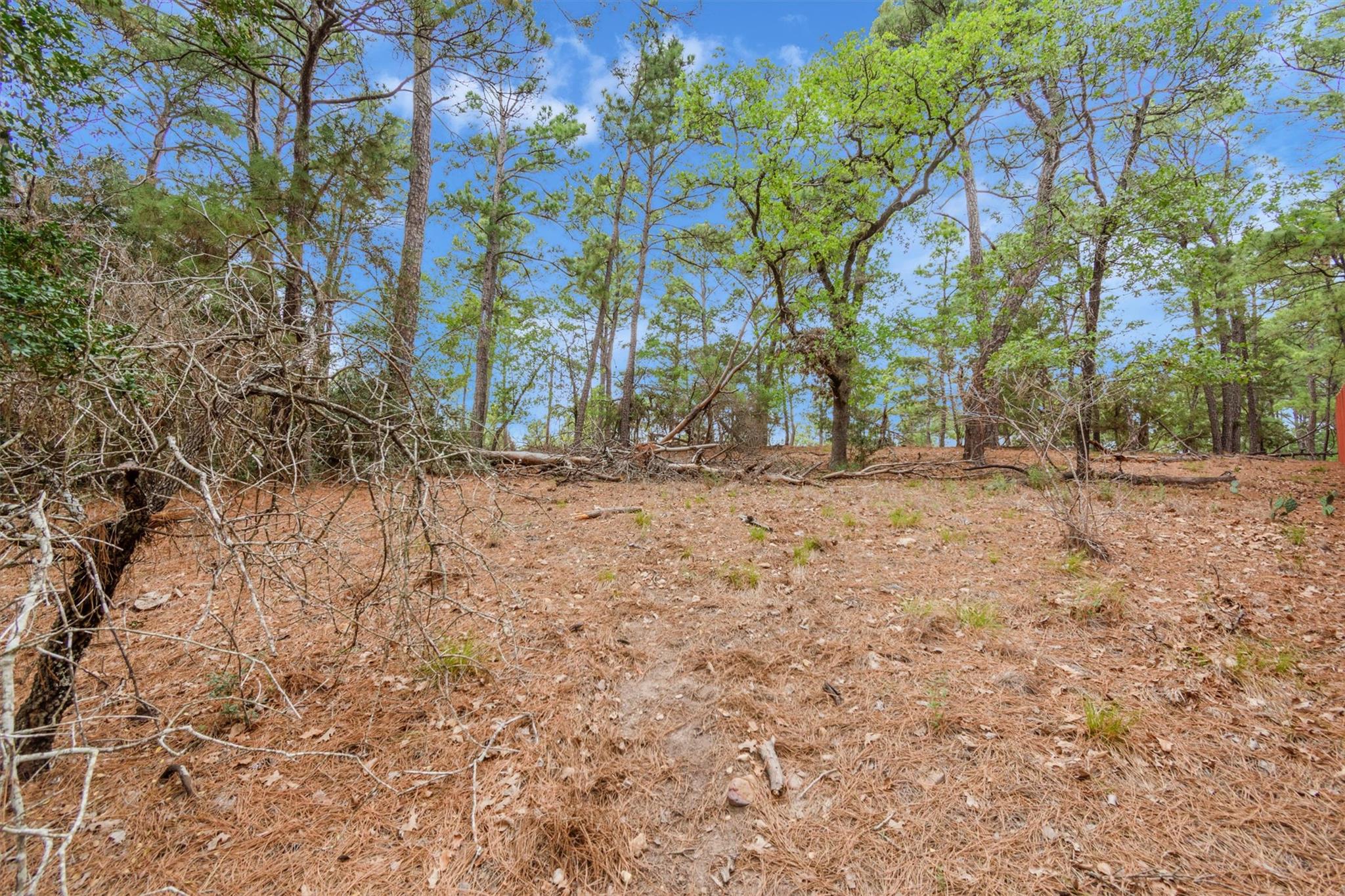 141 Kamaiki Drive Bastrop TX 78602