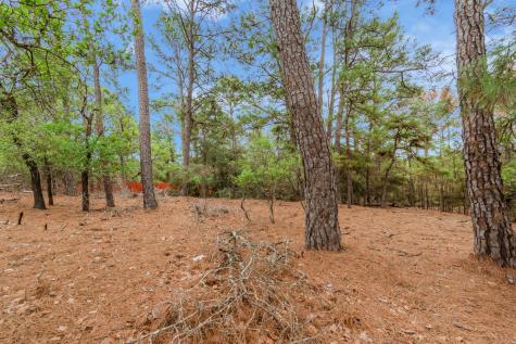 141 Kamaiki Drive Bastrop TX 78602