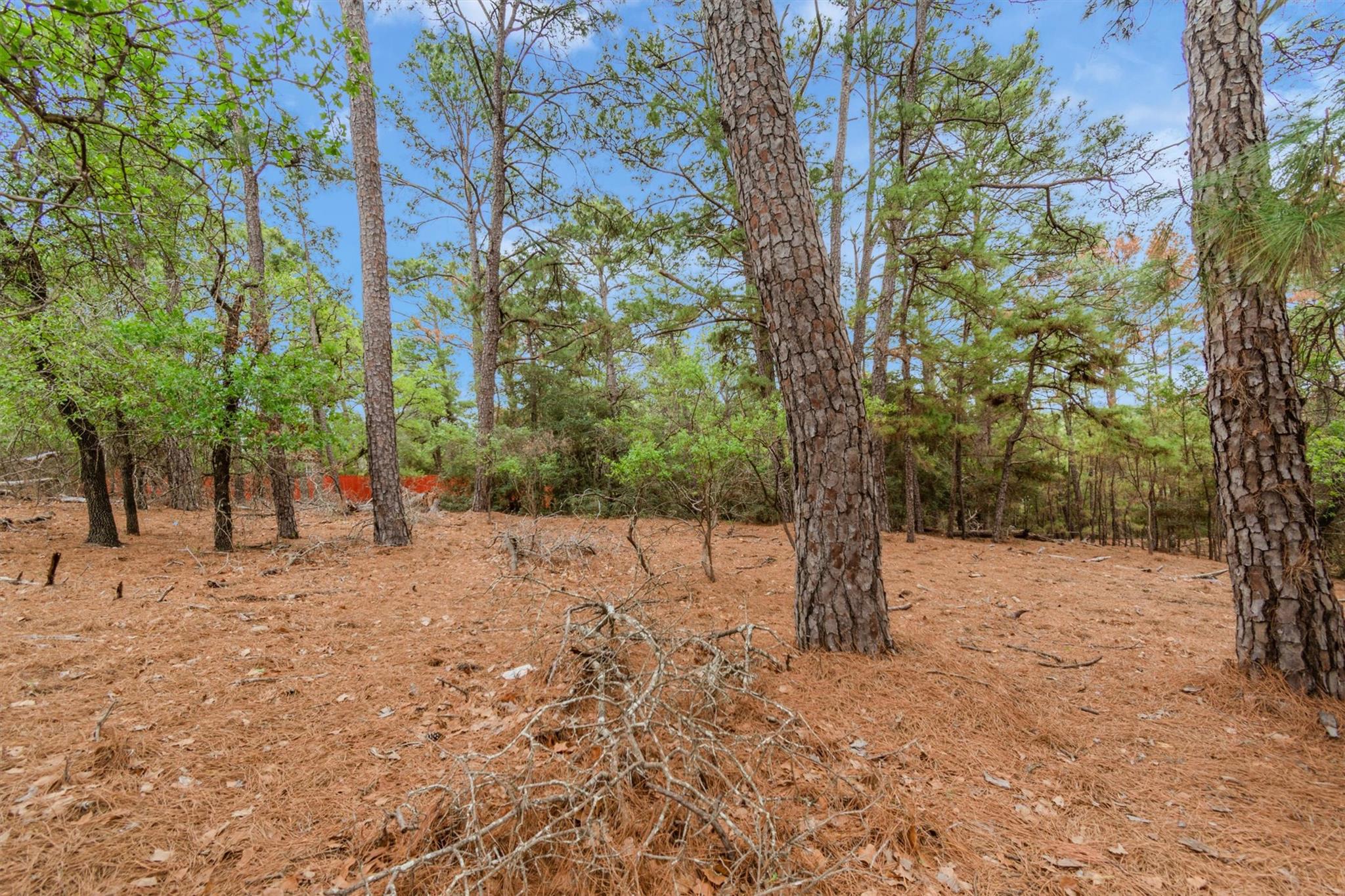 141 Kamaiki Drive Bastrop TX 78602