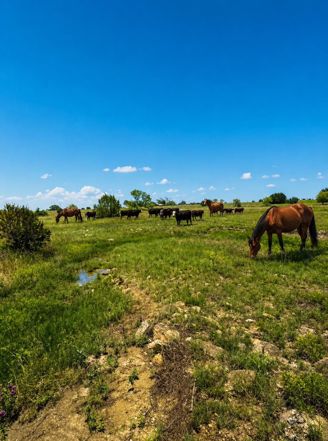 Lot 24 Private Road Hamilton TX 76531