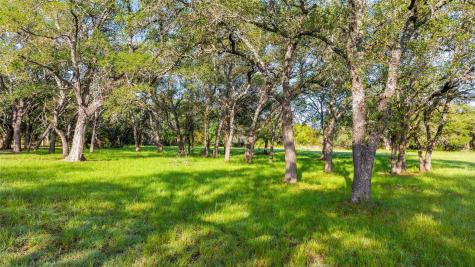 Lot 7 Morning Dew Drive Round Mountain TX 78663
