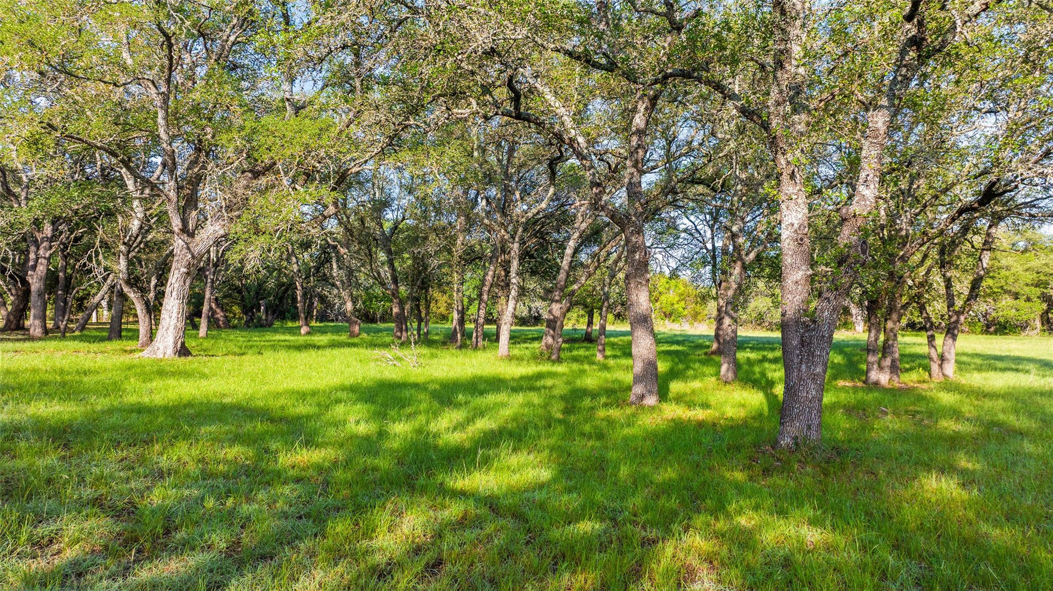 Lot 7 Morning Dew Drive Round Mountain TX 78663