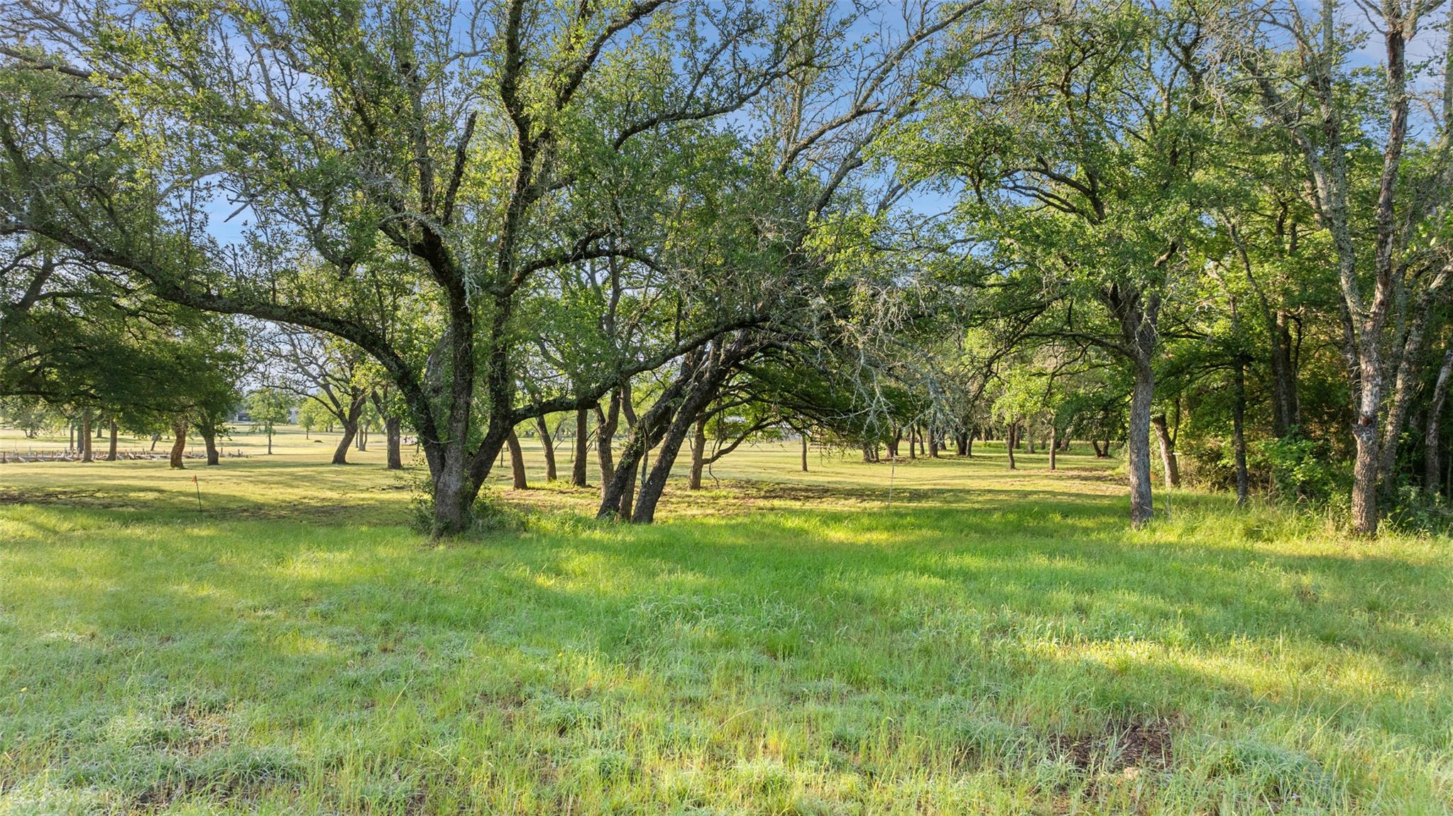 Lot 7 Morning Dew Drive Round Mountain TX 78663