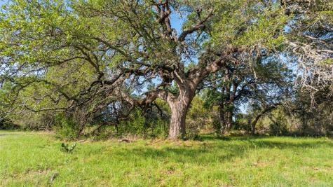 Lot 7 Morning Dew Drive Round Mountain TX 78663