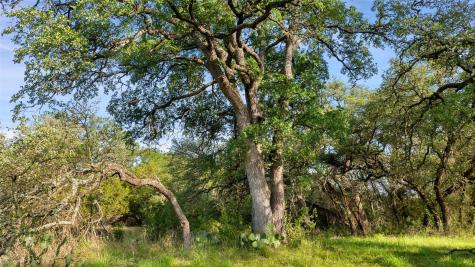 Lot 7 Morning Dew Drive Round Mountain TX 78663