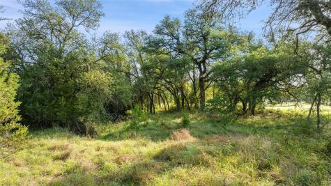 Lot 7 Morning Dew Drive Round Mountain TX 78663