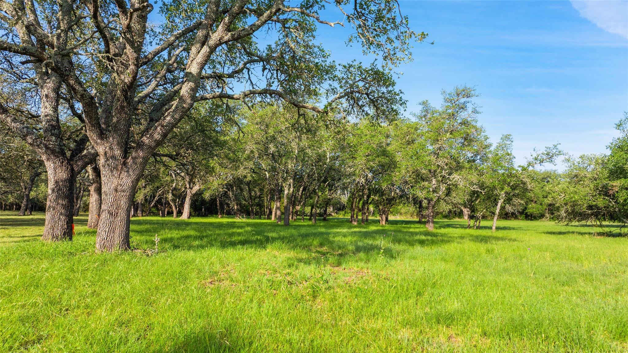 Lot 7 Morning Dew Drive Round Mountain TX 78663