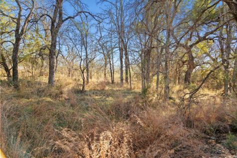 432 Sandy Mountain Drive Sunrise Beach TX 78643