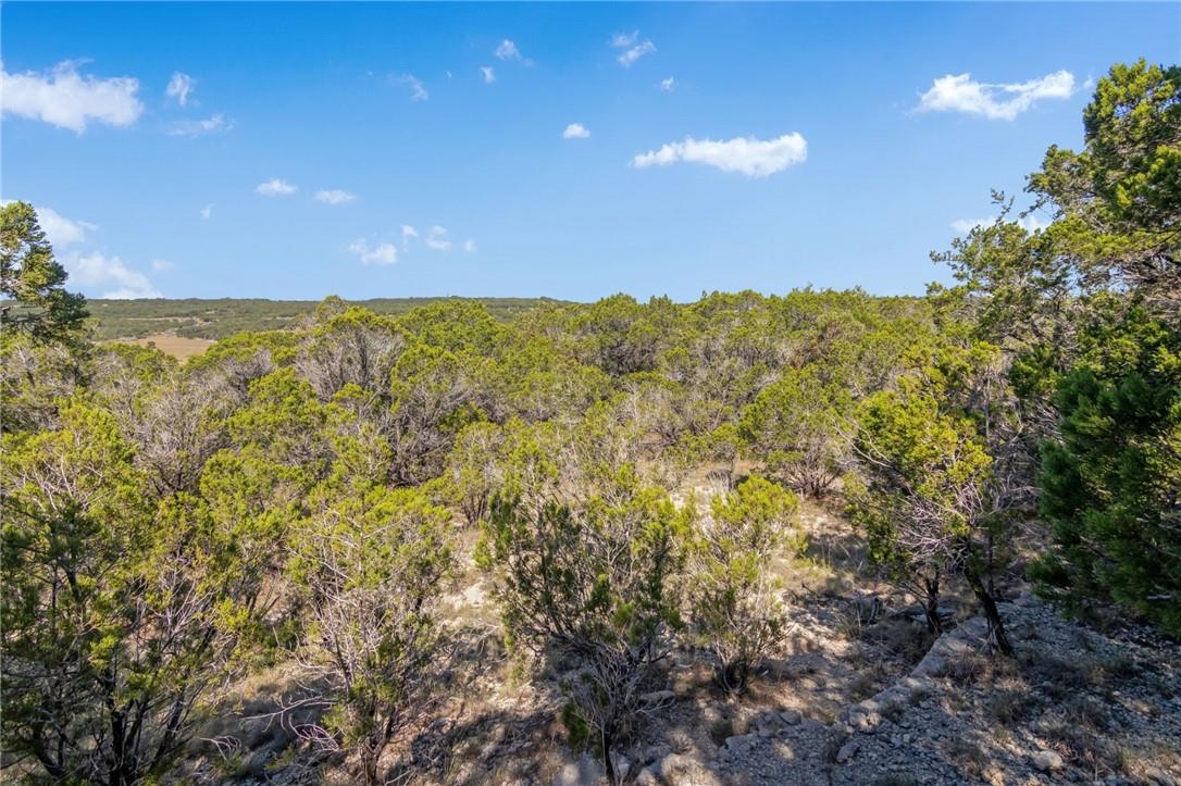 1000 Norwood Road Dripping Springs TX 78620