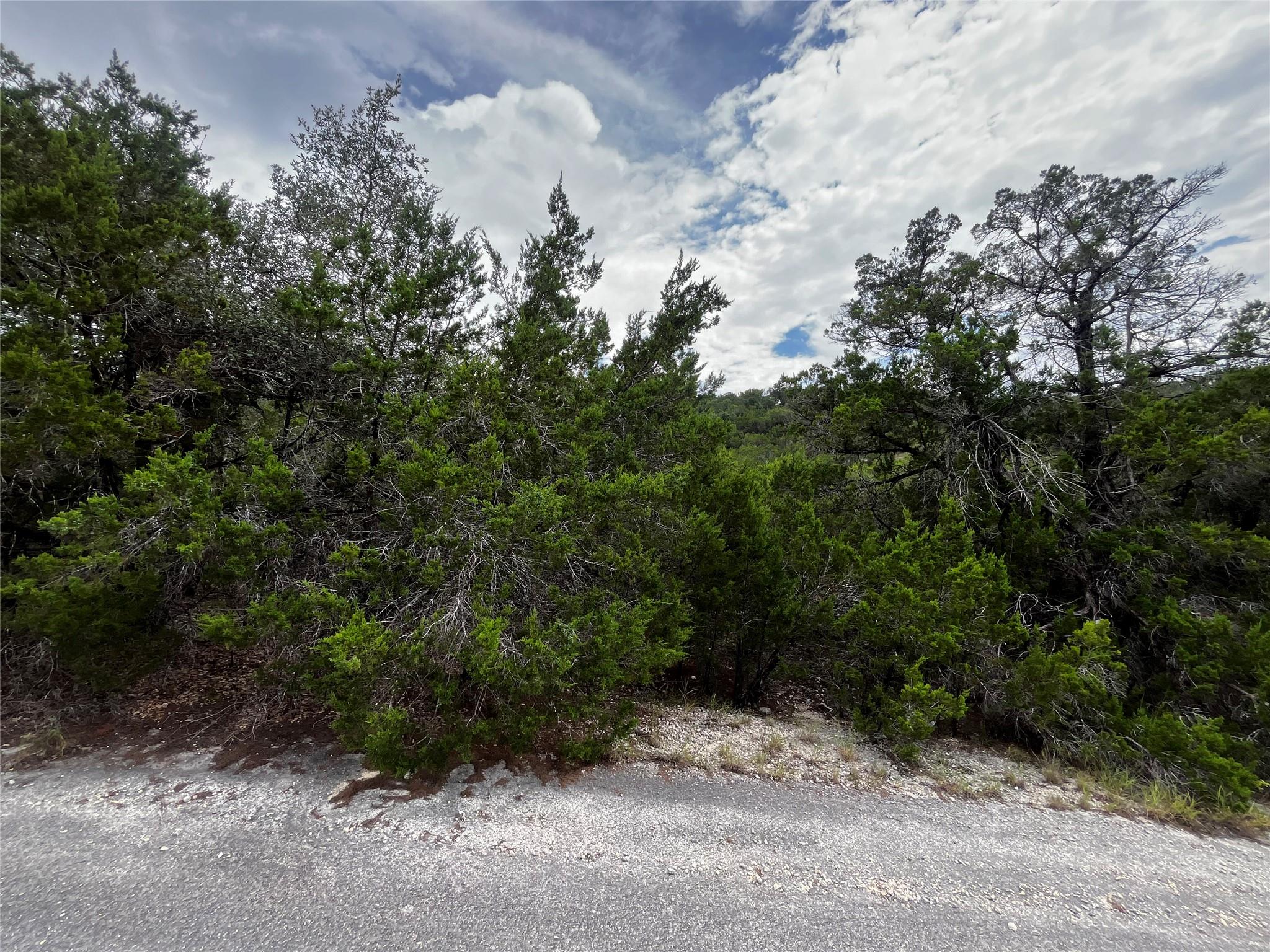 21307 Wyoming Pass Lago Vista TX 78645