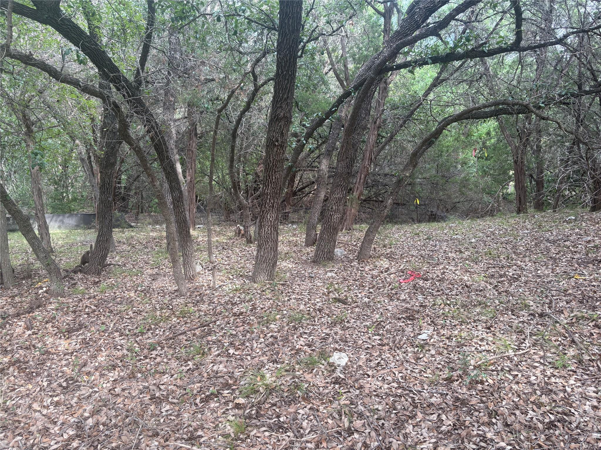 1803 Lipan Trail Austin TX 78733