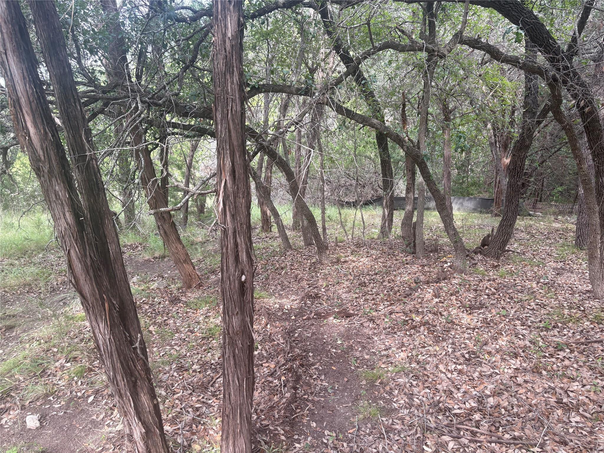 1803 Lipan Trail Austin TX 78733