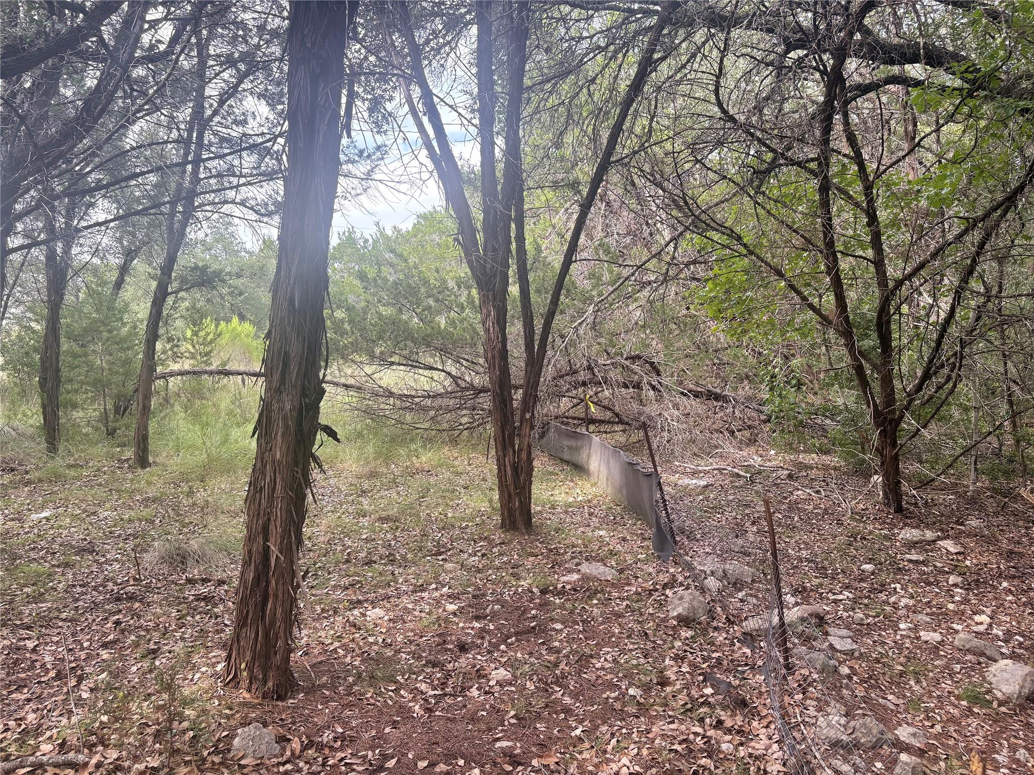 1803 Lipan Trail Austin TX 78733