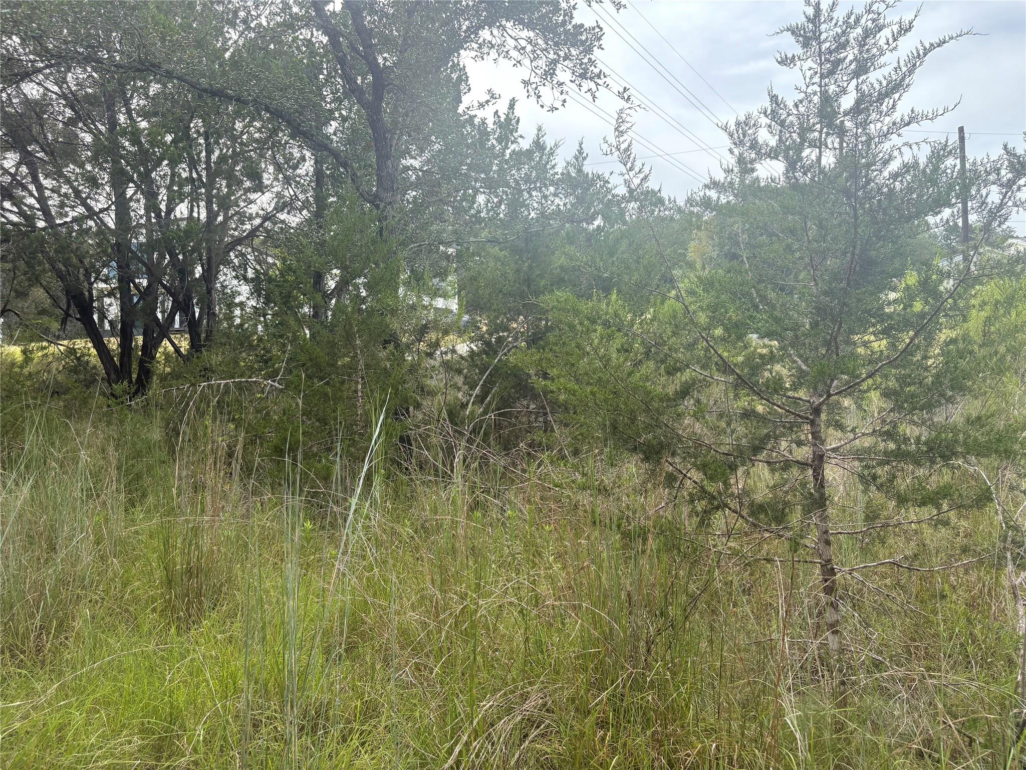 1803 Lipan Trail Austin TX 78733
