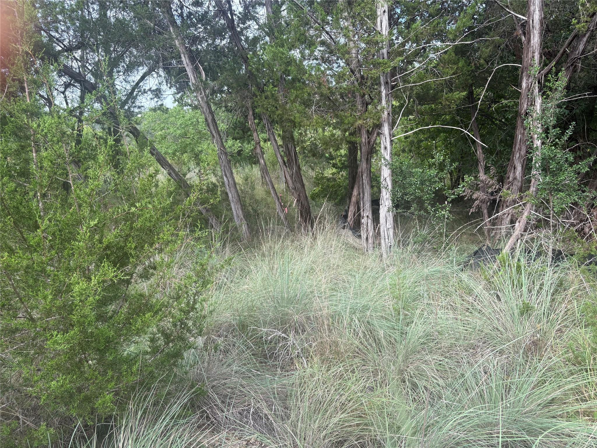 1803 Lipan Trail Austin TX 78733