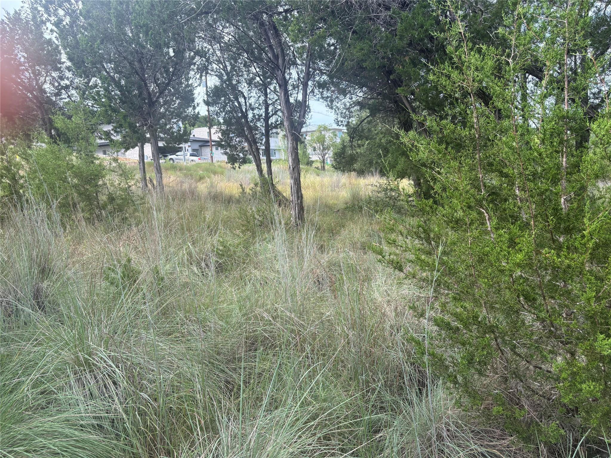 1803 Lipan Trail Austin TX 78733