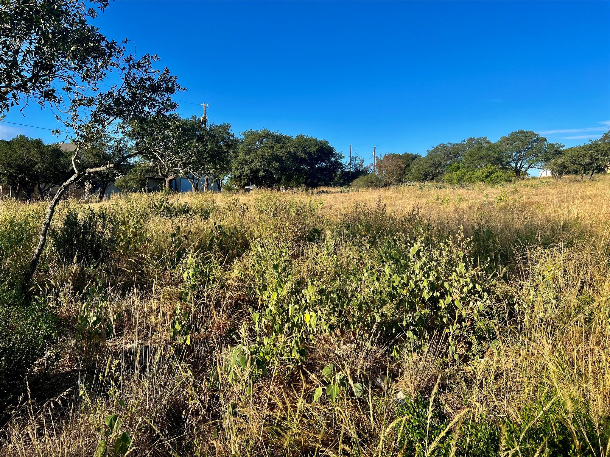 728 Nomad Drive Spicewood TX 78669