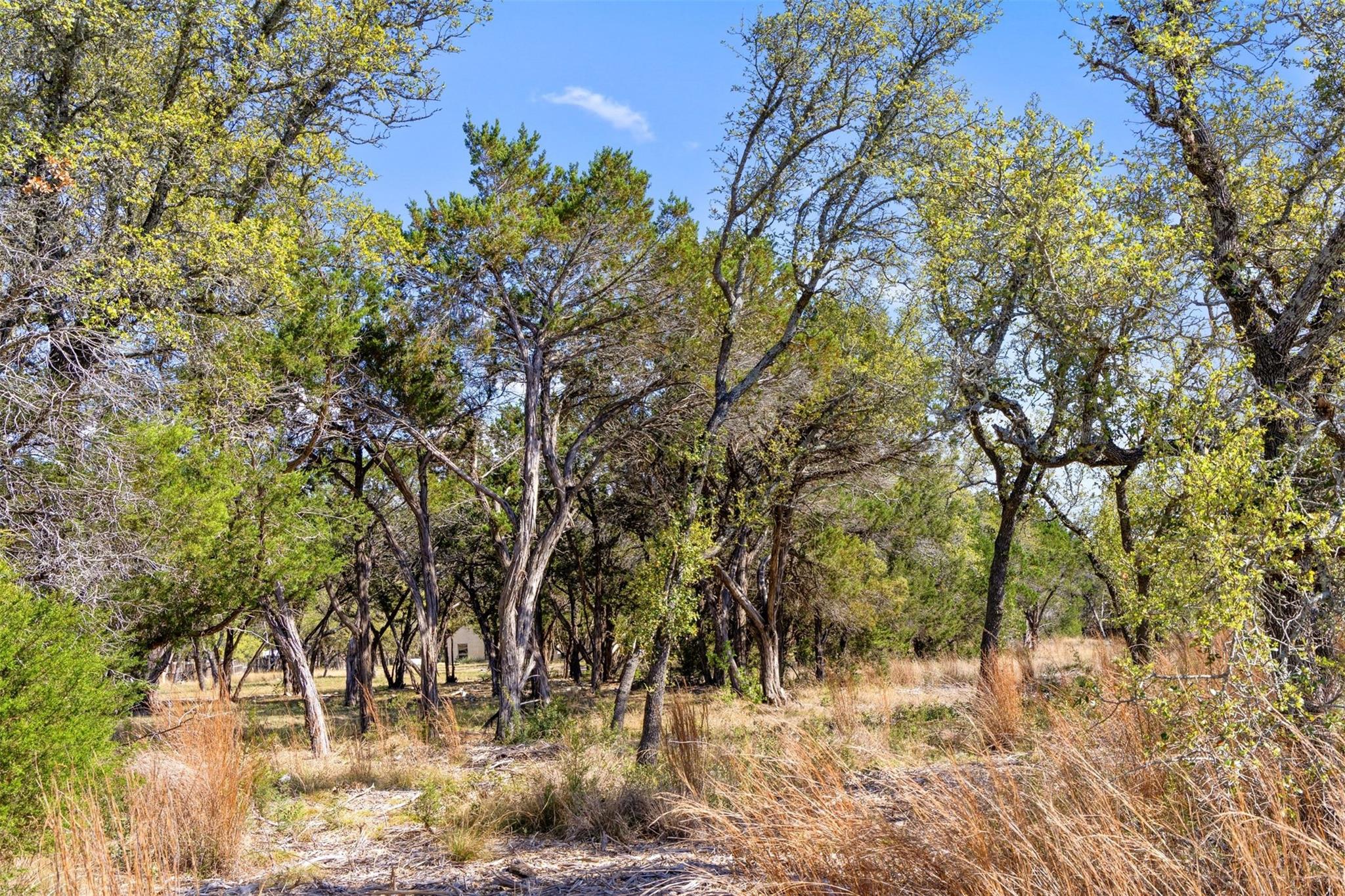 12136 Fitzhugh Place Dripping Springs TX 78620