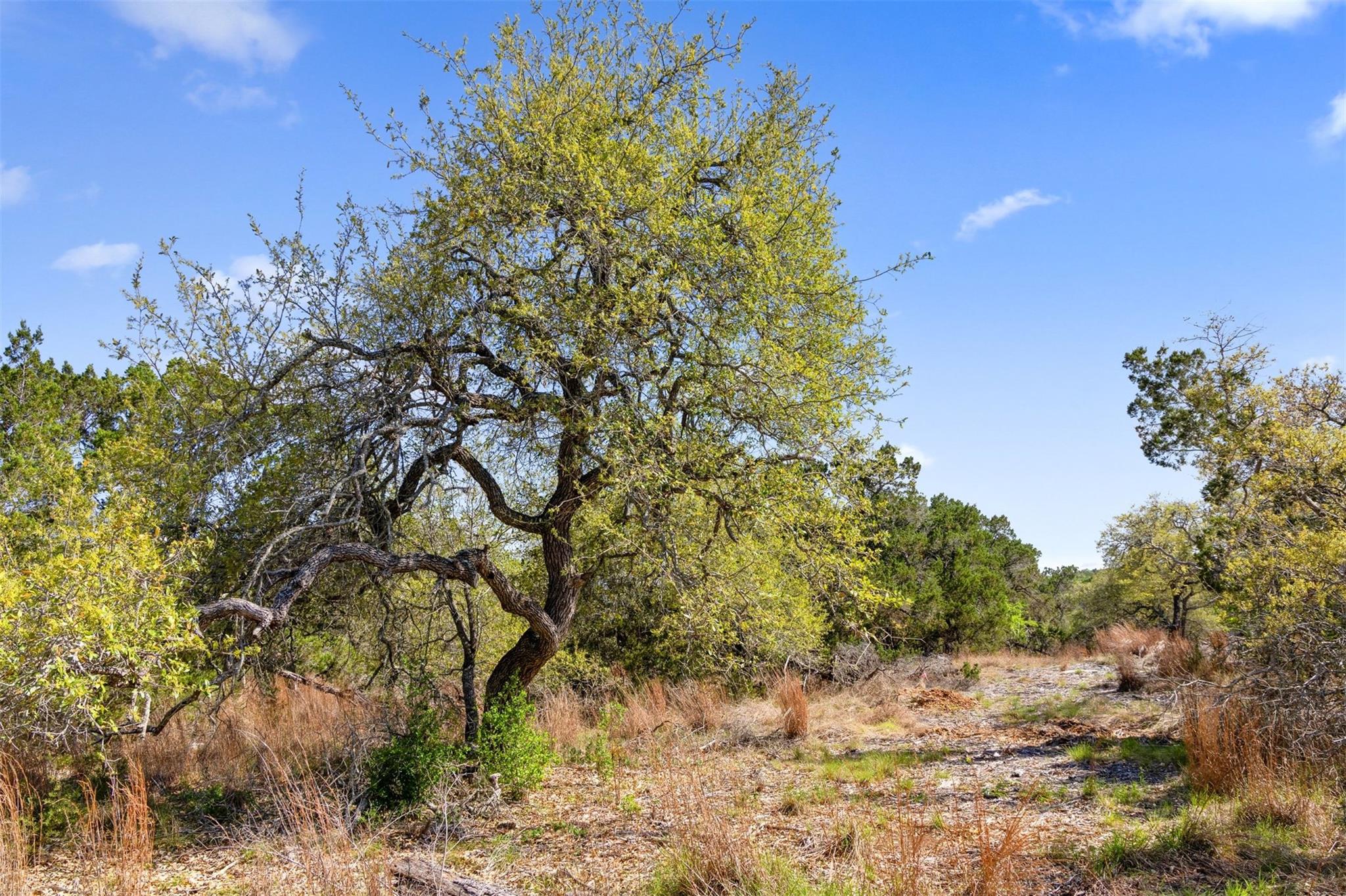 12136 Fitzhugh Place Dripping Springs TX 78620