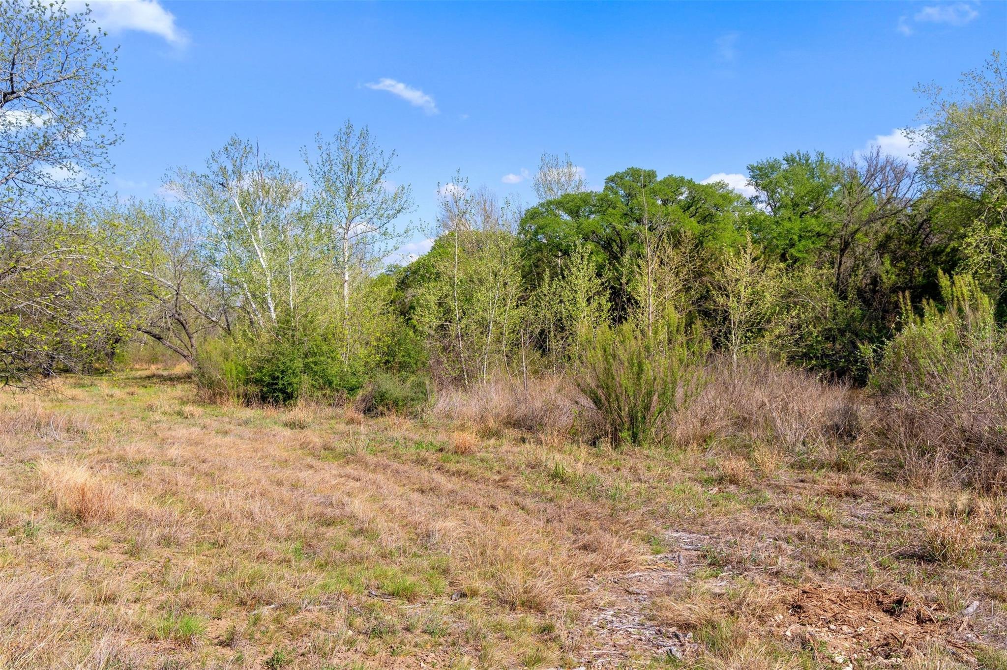 12136 Fitzhugh Place Dripping Springs TX 78620