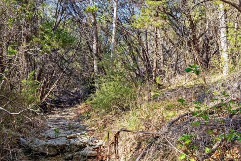 12136 Fitzhugh Place Dripping Springs TX 78620