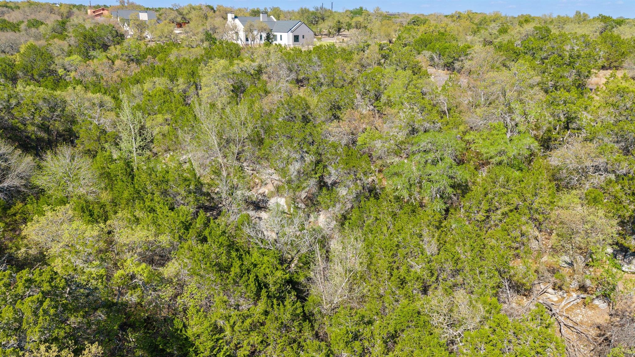 12136 Fitzhugh Place Dripping Springs TX 78620