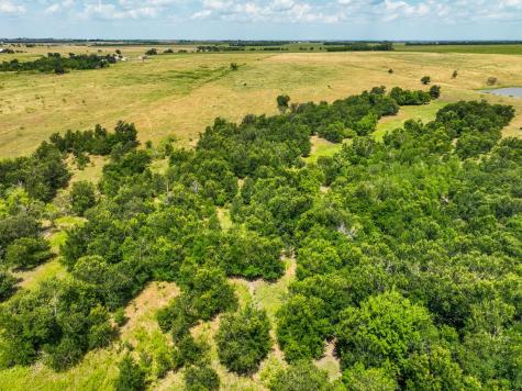 Tract 10 County Road 419 Taylor TX 76574