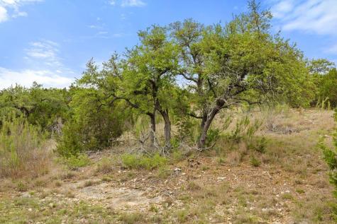 83 S Flat Rock Way Johnson City TX 78636